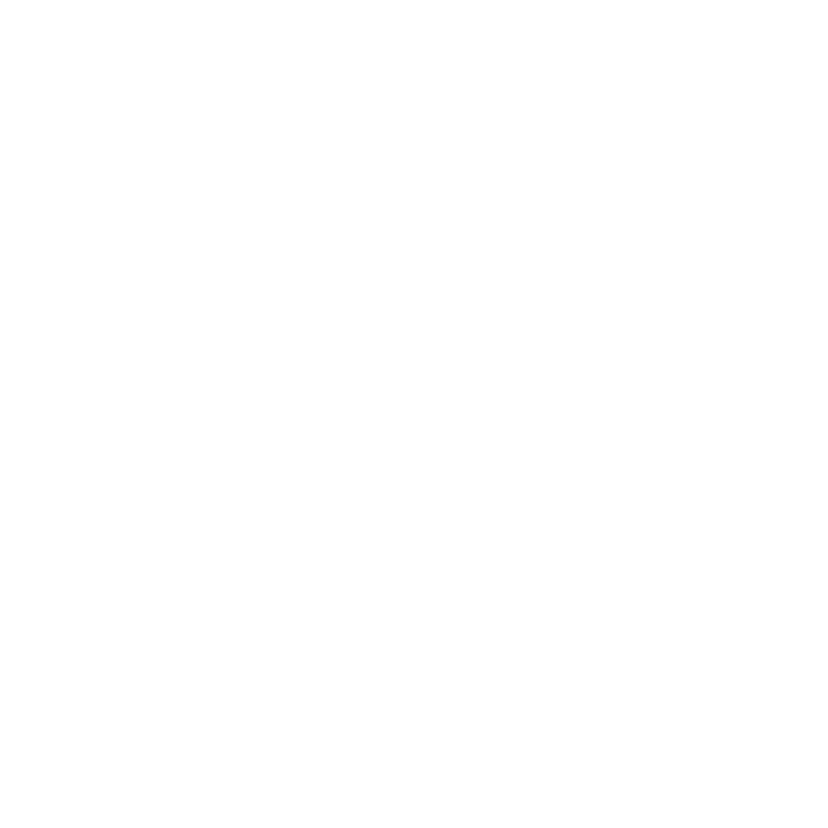 Noemeon Logo
